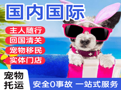 恩施许家坪航空空运国际宠物托运 【国